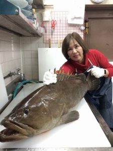 大阪箕面のクエ鍋 クエ料理専門店 大海 全室個室でゆっくりと