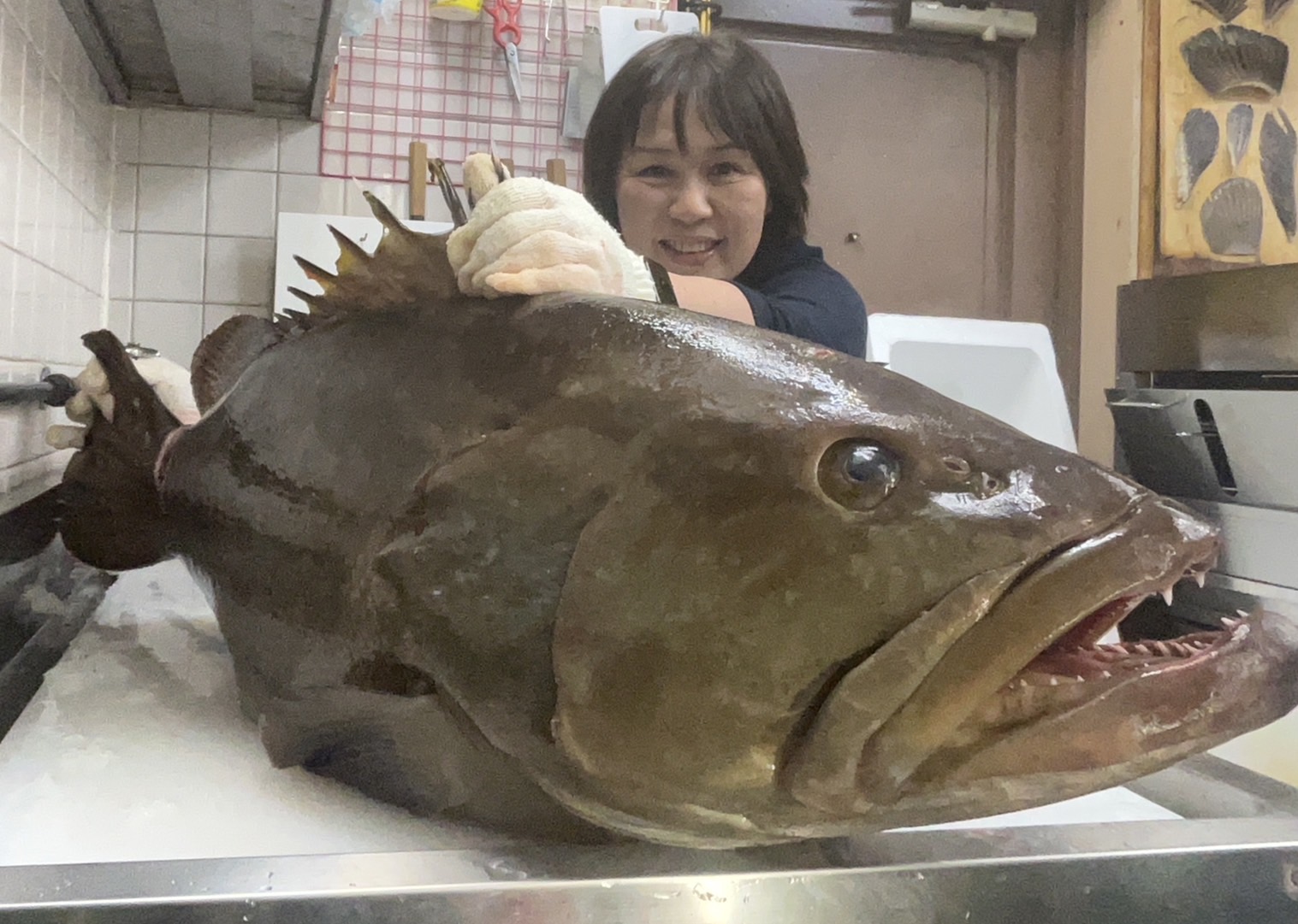 1月も良いクエに恵まれてまーす♬ | 大阪箕面市のクエ専門料理|大海